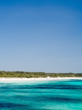 Es Trenc - Mallorca en iyi doğal plaj