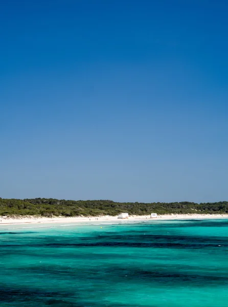 Es Trenc - beste natuurlijke strand in Mallorca — Stockfoto