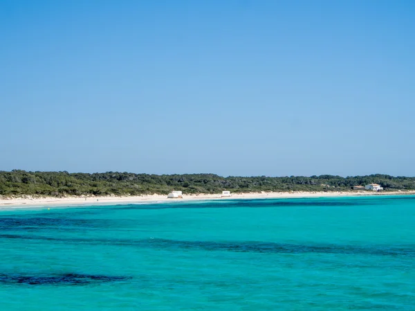 Es Trenc - Mallorca en iyi doğal plaj — Stok fotoğraf