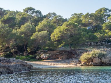Mayorka yalnız beach