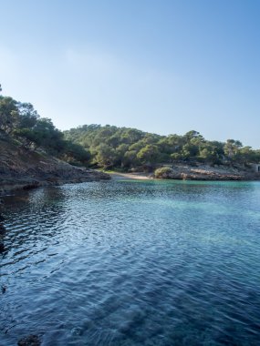 Mayorka yalnız beach