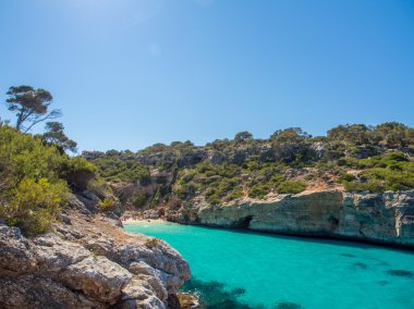 Mallorca - Balearic Islands, İspanya en iyi beach