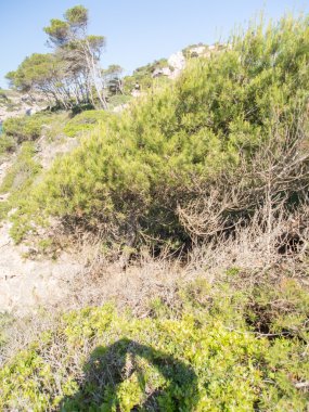 Mallorca - Balearic Islands, İspanya en iyi beach