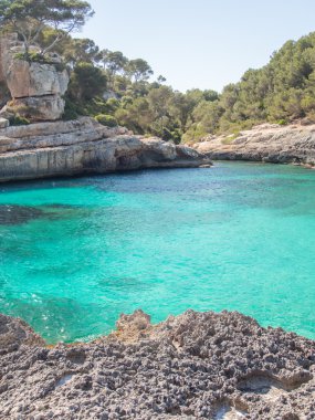 Mallorca - Balearic Islands, İspanya en iyi beach