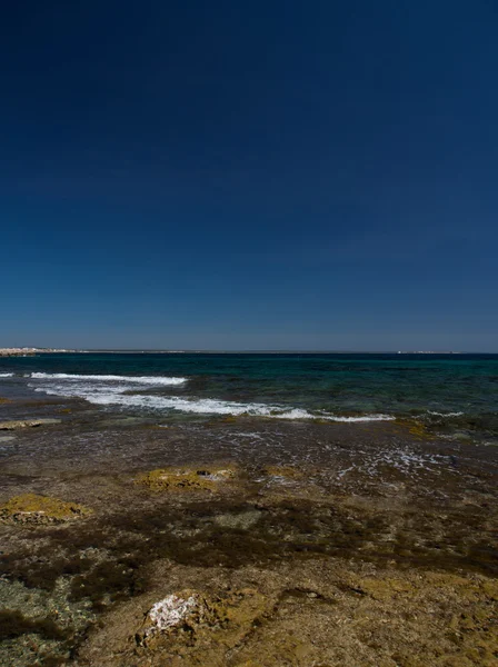 Sziklás part Mallorca - Baleár-szigetek, Spanyolország — Stock Fotó