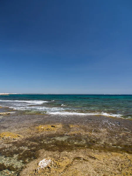 Sziklás part Mallorca - Baleár-szigetek, Spanyolország — Stock Fotó