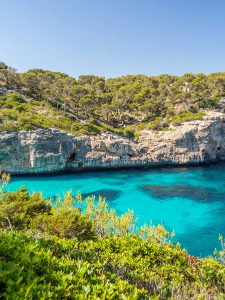 Bästa stranden i Mallorca - Balearerna, Spanien — Stockfoto