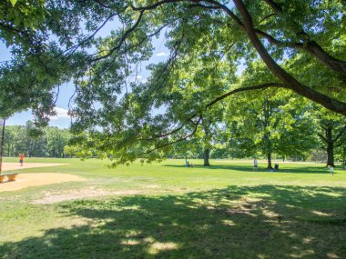 Cental Park - New York