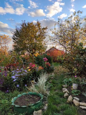 Günbatımında açan bir sonbahar bahçesi. Günbatımında açan bir sonbahar bahçesi. Hasat.