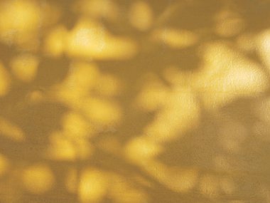 Sarı arkaplandaki yaprakların soyut gölgesi, fotoğraf, taklit, posterler, durağanlık, duvar sanatı, tasarım sunumu için üstüste efekt