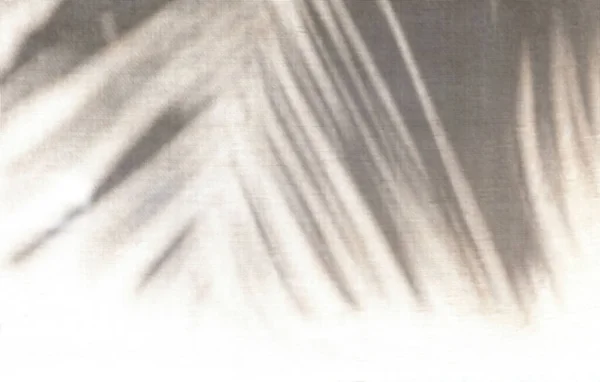 Shadow Palm Leaf Shadow Grunge Texture Background Overlay Effect Photo — Stockfoto