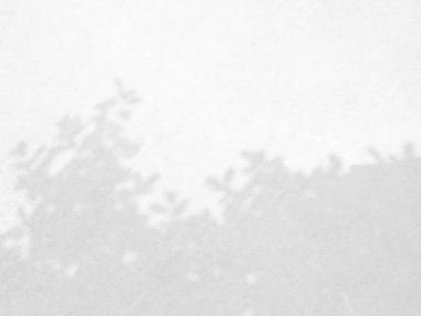 Doğal yapraklar ağaç dalının gölgeleri beyaz beton duvar dokusu üzerinde fotoğraf, maket, poster, ürün, duvar sanatı, tasarım sunumu için örtüşür