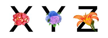 Çiçek font alfabesi x, y, z gerçek çiçeklerden yapılmış. Baharda dekorasyon için flora fontu koleksiyonu, yaz konsepti.