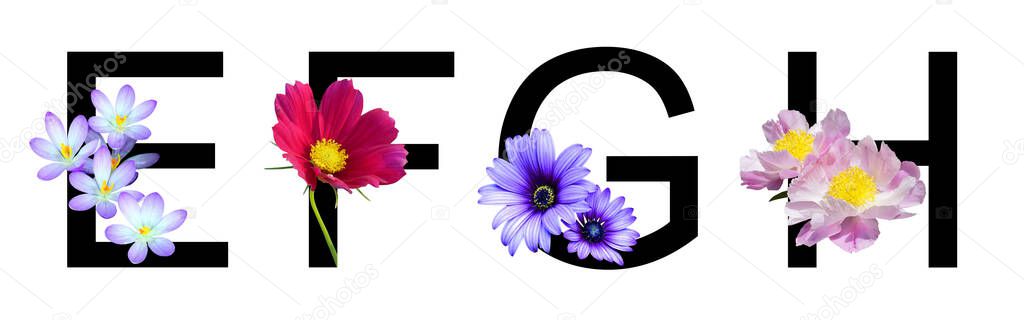 Flower font alphabet e, f, g, h made of real flowers. Collection of flora font for decoration in spring, summer concept.