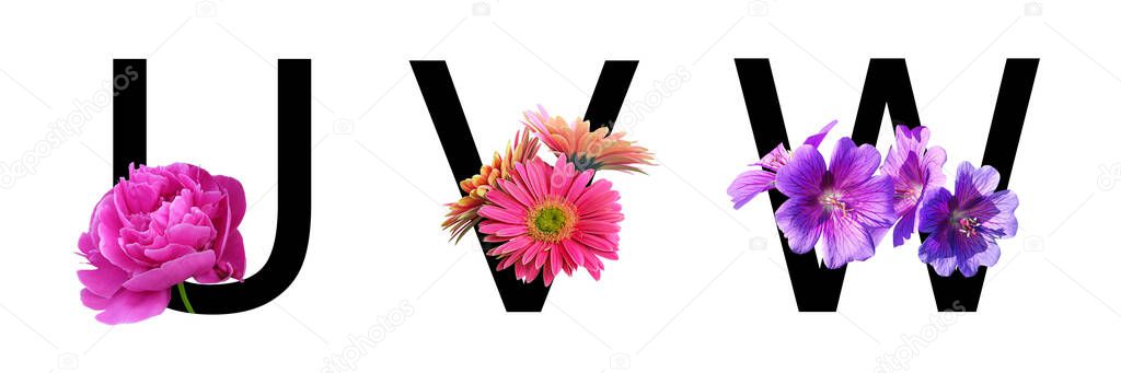 Flower font alphabet u, v, w made of real flowers. Collection of flora font for decoration in spring, summer concept.