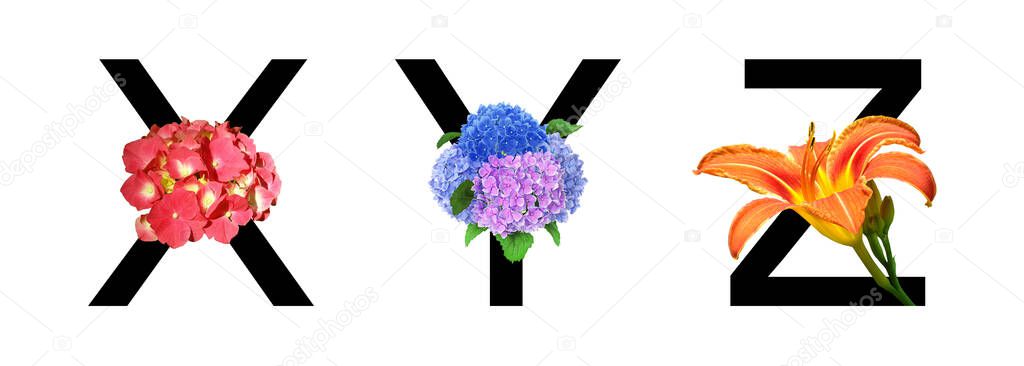 Flower font alphabet x, y, z made of real flowers. Collection of flora font for decoration in spring, summer concept.