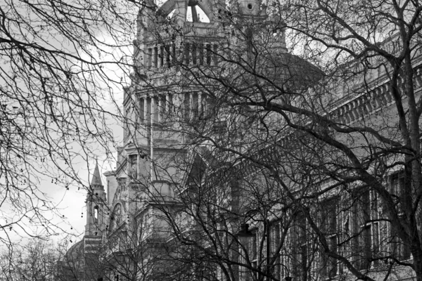 View through the branches on victorian facade — Stock Photo, Image