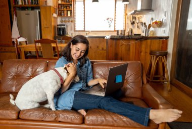 Evden çalışıyorum. Kanepedeki sevimli köpekli kadın Coronavirus salgını ve sosyal mesafeler sırasında iş ekibiyle video konferansında dizüstü bilgisayar kullanıyor. Evdeki hayatın olumlu görüntüsü ve yeni normal.