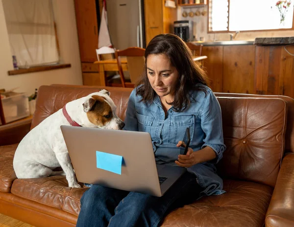 Trabalhar Casa Mulher Sofá Com Cão Estimação Bonito Usando Laptop — Fotografia de Stock