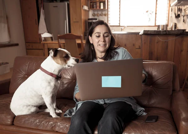 Trabajando Desde Casa Mujer Sofá Con Lindo Perro Compañía Utilizando — Foto de Stock