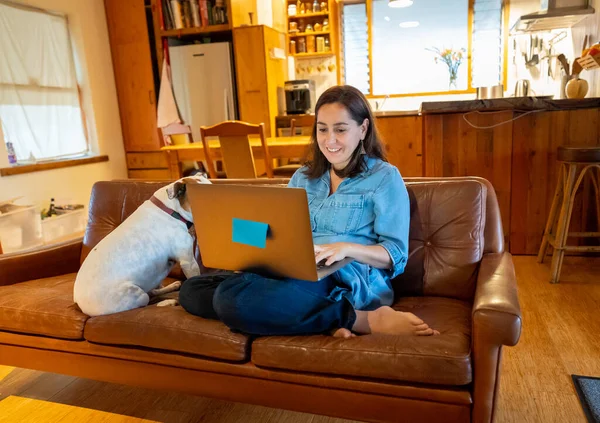 Trabajando Desde Casa Mujer Sofá Con Lindo Perro Compañía Utilizando Fotos de stock