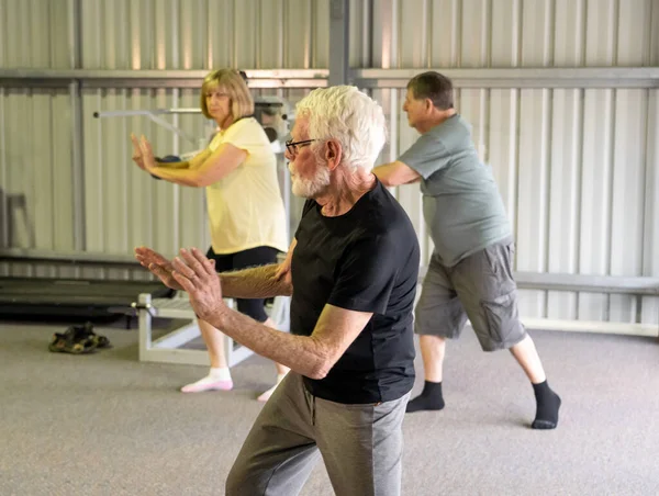 Group of seniors in Tai Chi class exercising in an active retirement lifestyle. Mental and physical health benefits of exercise and fitness in elderly people. Senior health care and wellbeing concept.