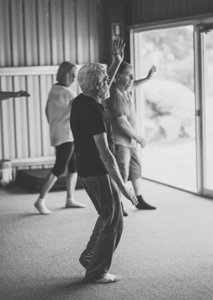 Grupo Personas Mayores Clase Tai Chi Que Ejercen Estilo Vida —  Fotos de Stock