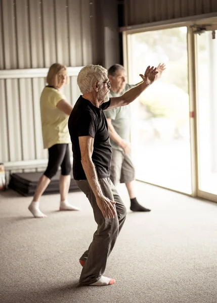 Grupo Personas Mayores Clase Tai Chi Que Ejercen Estilo Vida —  Fotos de Stock