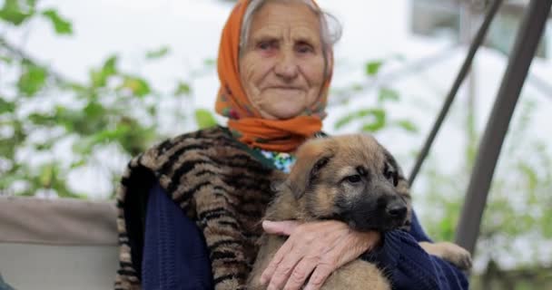 Derin kırışıklıkları olan yaşlı bir kadın kucağında küçük bir köpek yavrusu tutuyor.. — Stok video