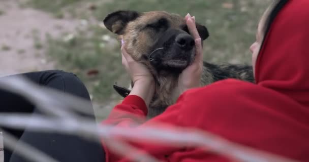Una mujer acaricia el rostro de un perro pastor. — Vídeos de Stock