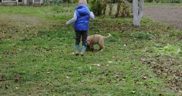 Petit garçon joue avec un chiot à l'extérieur. — Video