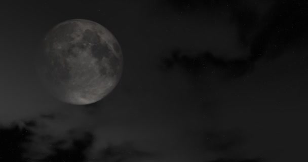 Ταινία τρόμου. Γκρι φεγγάρι ενάντια στο σκοτεινό ουρανό. — Αρχείο Βίντεο