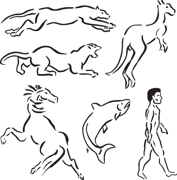 Drawing set of animals like leopard, puma, kangaroo, horse, salmon and a man walking, in ink brush style. Hand drawn and digital retouch.