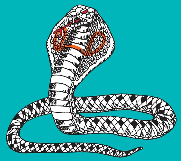 Portrait Naja Snake Strike Comics Style Blue Background Hand Drawn — Stock Photo, Image