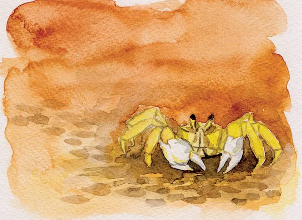 Portrayal of little yellow crab walking and orange background. Watercolor painting.