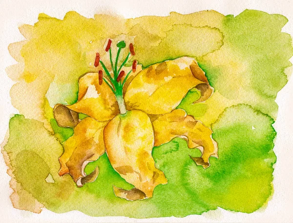 Изображение Жёлтого Цветка Жёлтом Зелёном Фоне Акварель — стоковое фото