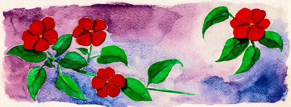 Retrato Flores Rojas Arbustos Con Hojas Verdosas Pintura Acuarela —  Fotos de Stock