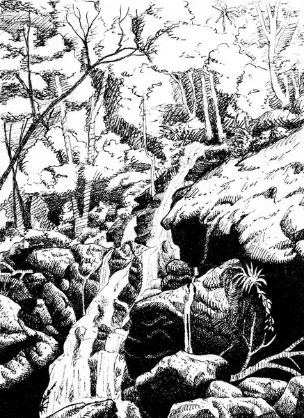 Illustration of waterfall flowing through rocks in the middle of rainforest, in comics style. Ink drawing.