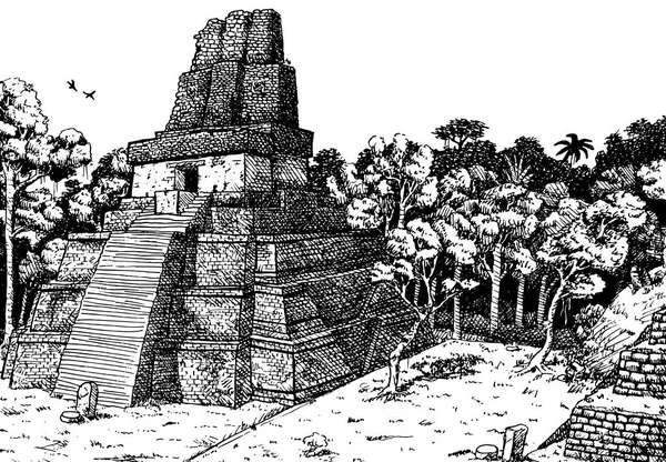 Brant Tempel Pyramid Skogen Vid Den Gamla Staden Tikal Stor — Stockfoto