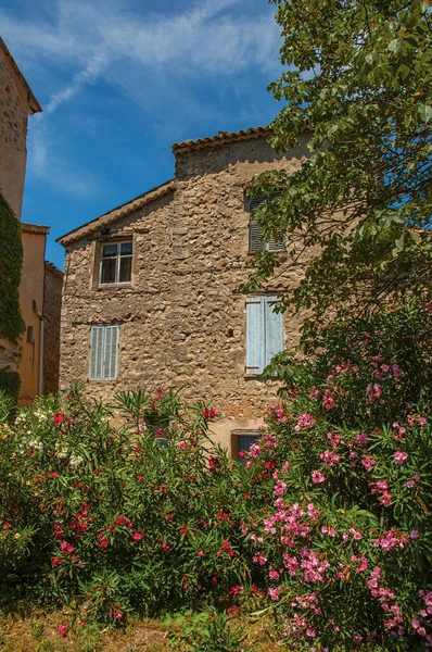 Alley view with house and flowers in Chateaudouble, a quiet village with medieval origin on a sunny day. Provence region, southeastern France.