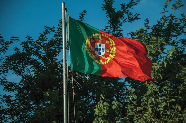 Primer Plano Bandera Portuguesa Atardecer Ramas Árboles Fondo Cerca Elvas —  Fotos de Stock