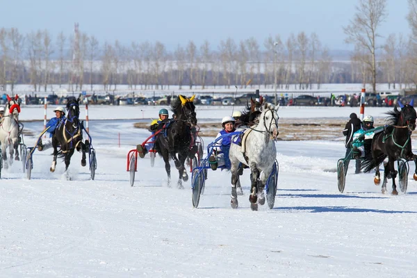 Winter aankomsten op paarden — Stockfoto