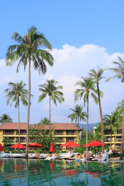 Palmiye ağaçları altında dinlenmek