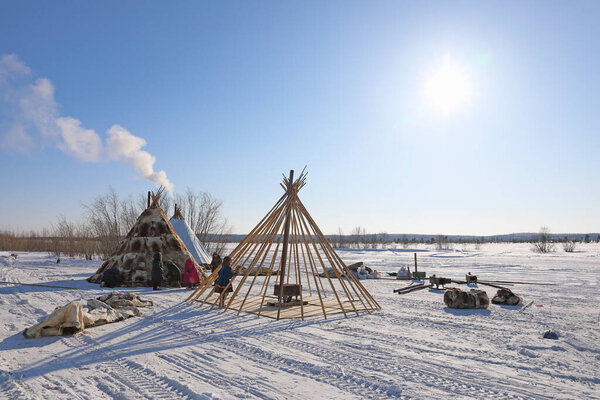 Nadym, RUSSIA-MARCH 11, 2021: Native inhabitants of northern Siberia Nenets reindeer herders collect  traditional dwellings