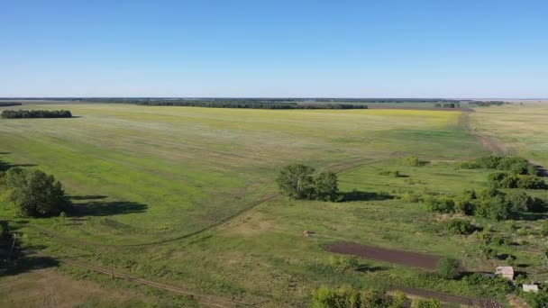 Vol Dessus Village Russe Kurgan Dans Territoire Altaï Russie Dans — Video