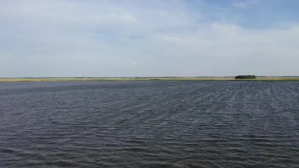 Cisne Despega Lago Estepa Entre Llanura Kulunda Siberia — Vídeos de Stock