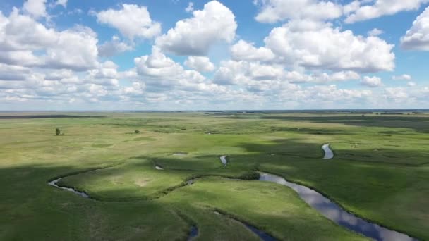 Lago Bakharevskoye Paludi Salate Nella Steppa Kulundinsky Nella Regione Altai — Video Stock