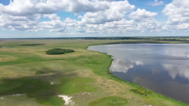 Lago Bakharevskoye Paludi Salate Nella Steppa Kulundinsky Nella Regione Altai — Video Stock