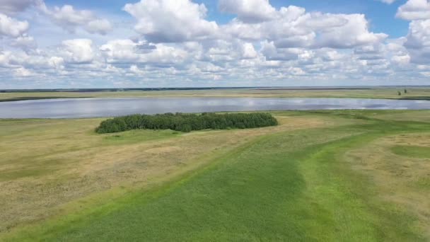 Lago Bakharevskoye Salinas Estepa Kulundinsky Región Altai Siberia — Vídeos de Stock