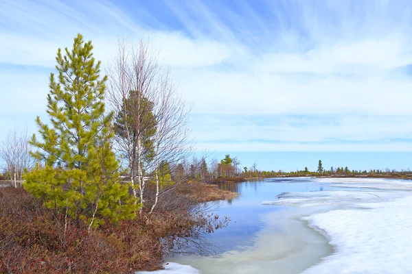 Tavasszal a Yamal — Stock Fotó